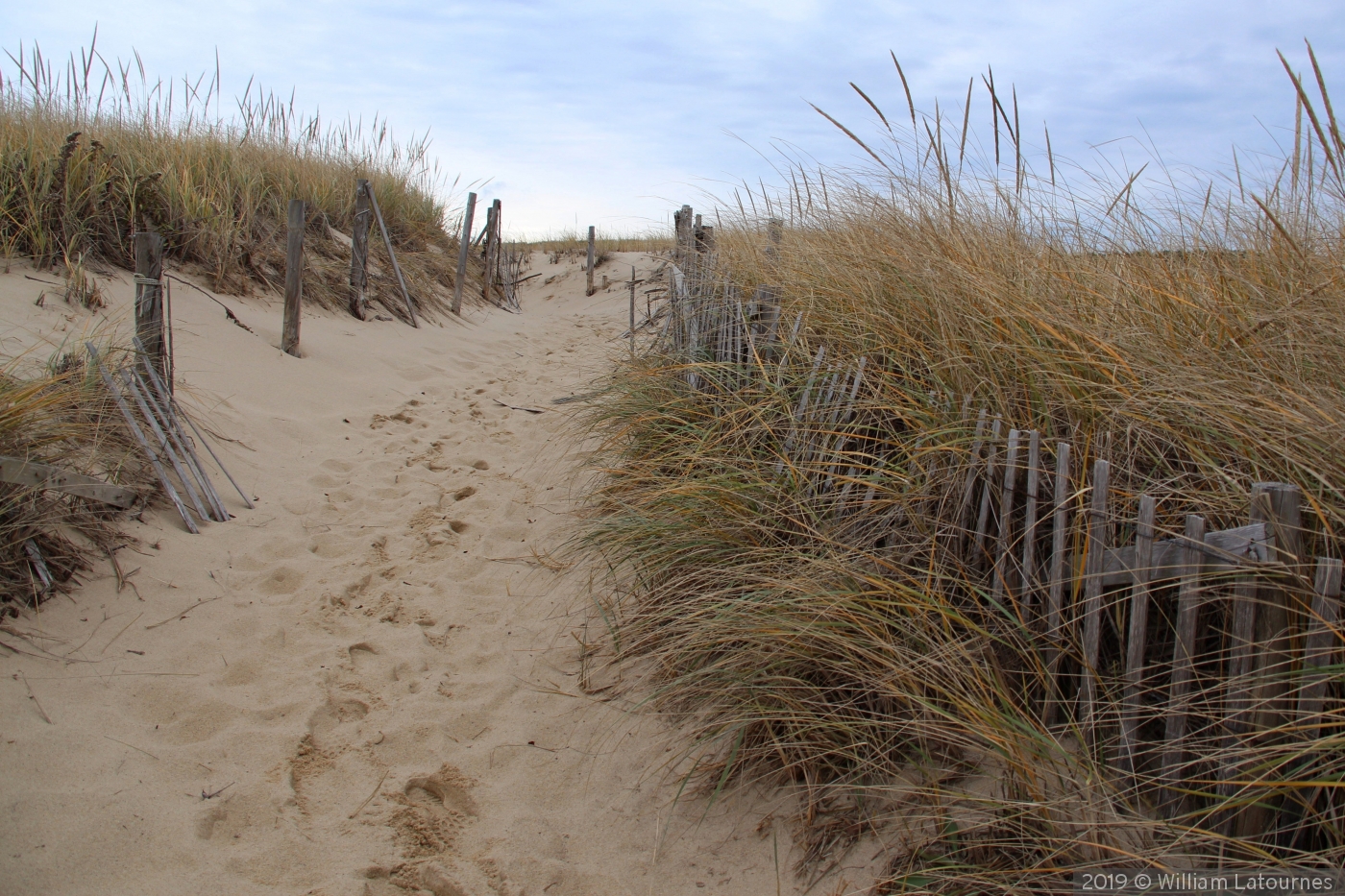 Pathway To The Beach Cape Cod by William Latournes