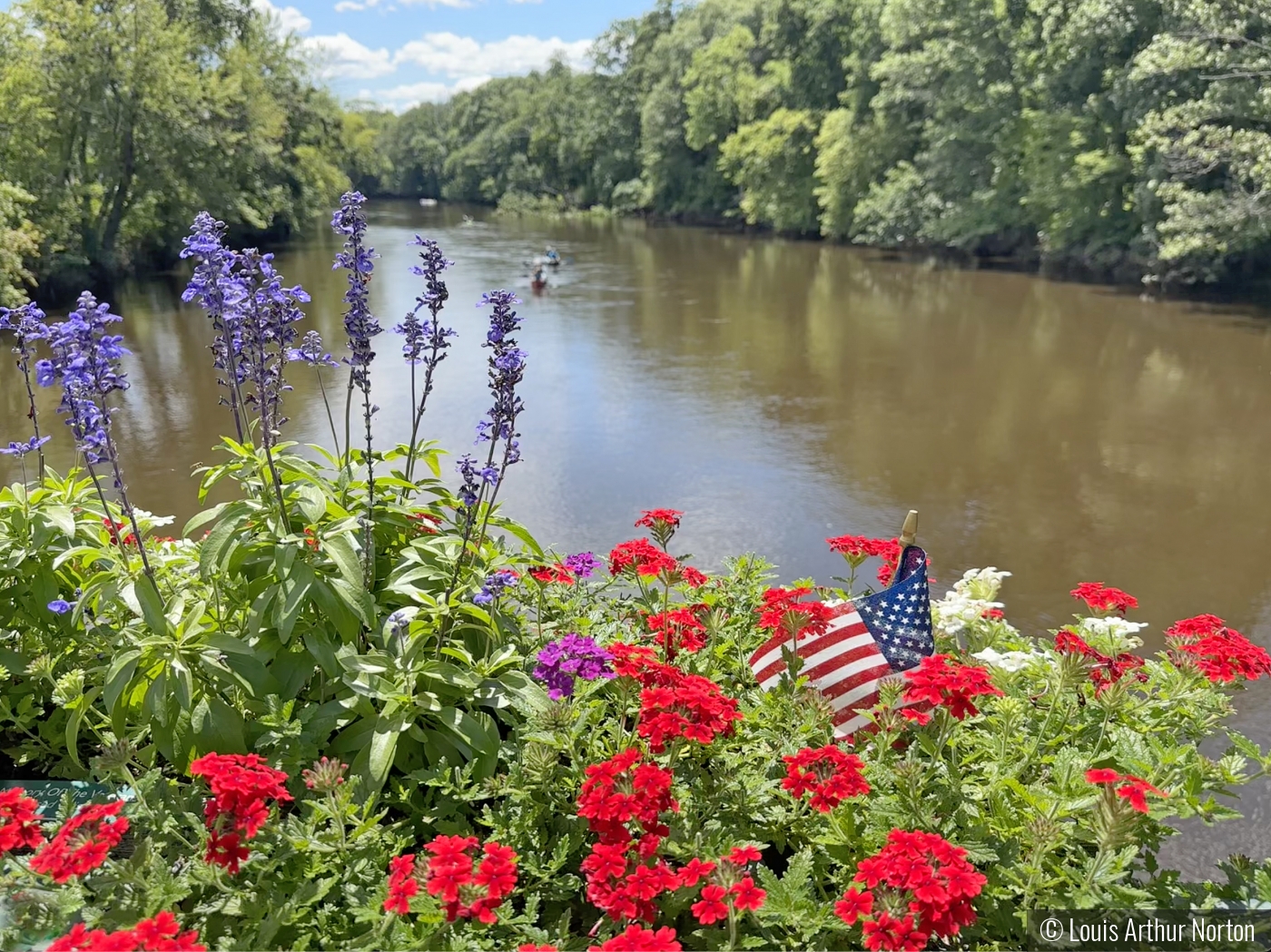 Patriotic Petals and Paddlers Via Simsbury Flower Bridge by Louis Arthur Norton