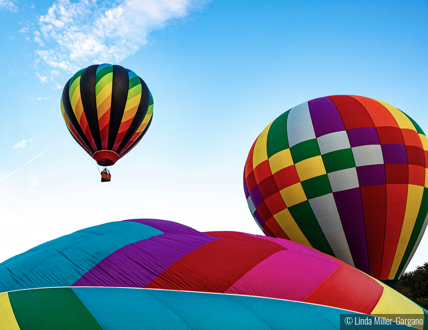 Plainville Balloon Festival by Linda Miller-Gargano