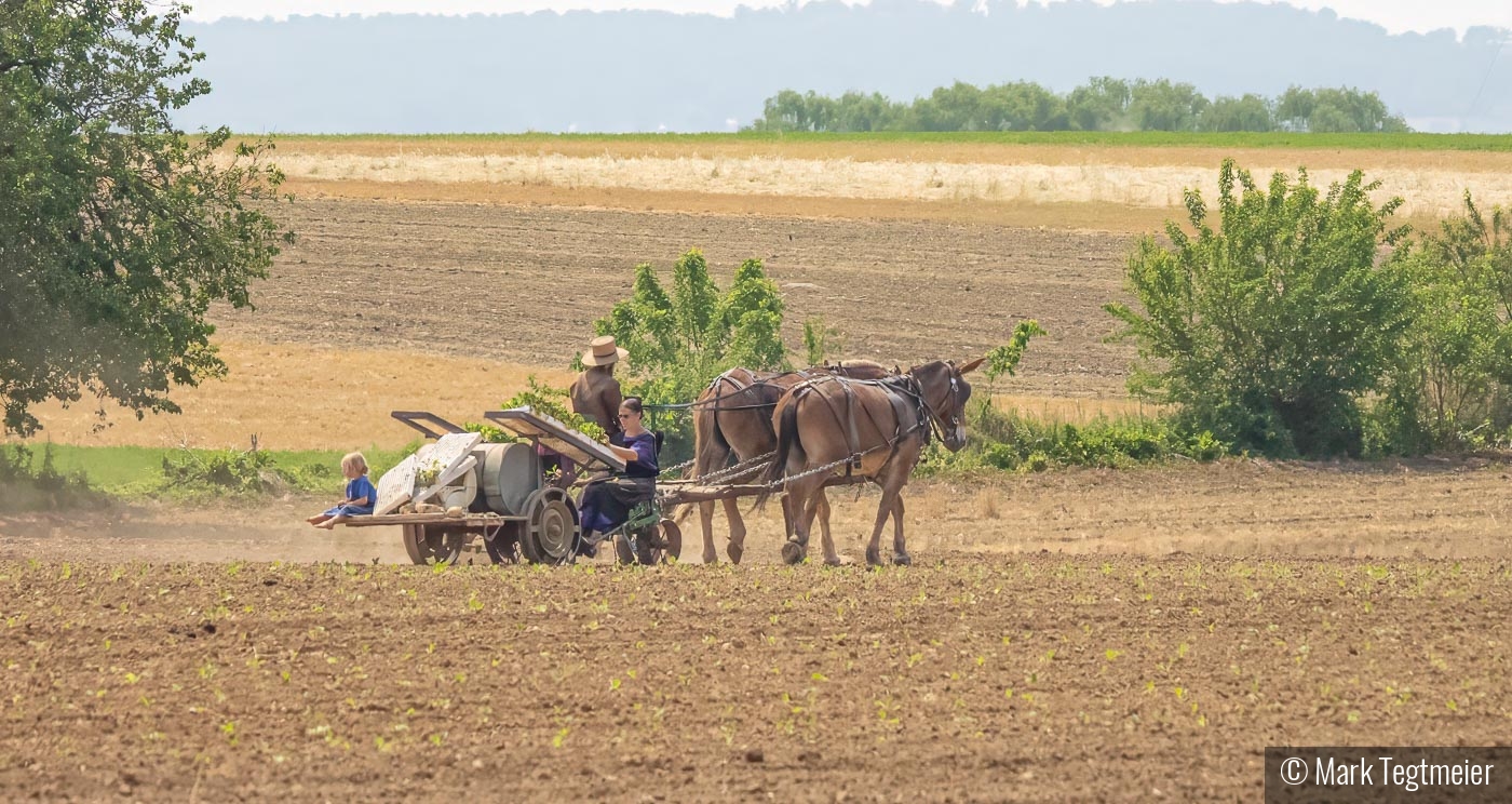 Planting Day by Mark Tegtmeier