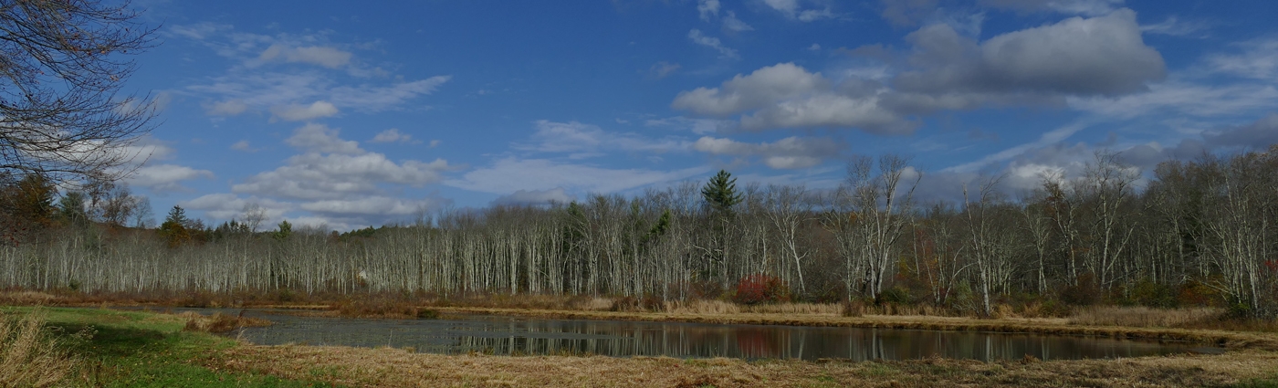 Pond Near Ripley by Bruce Metzger