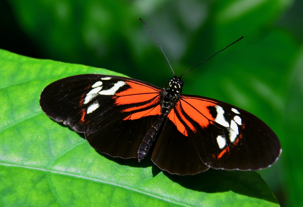 Posing by George Zars