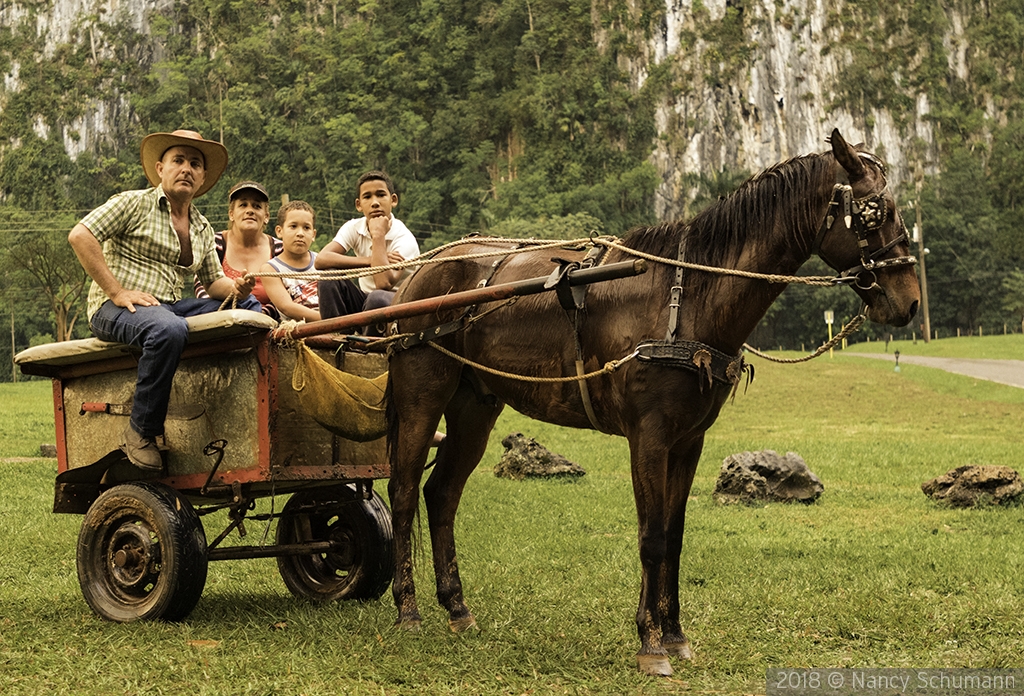 Proud Cuban farm family by Nancy Schumann