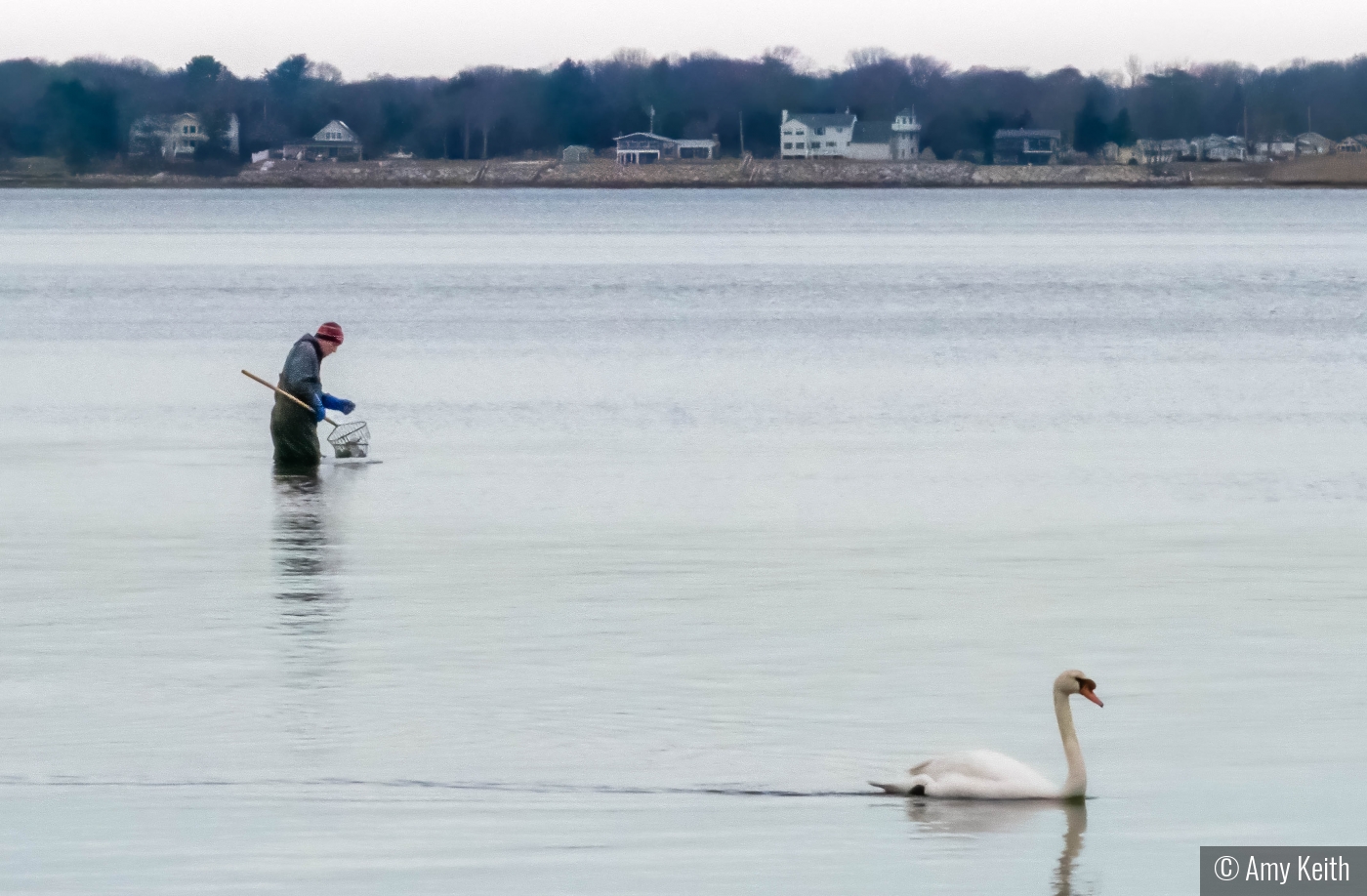 Quahogging on Narragansett Bay by Amy Keith