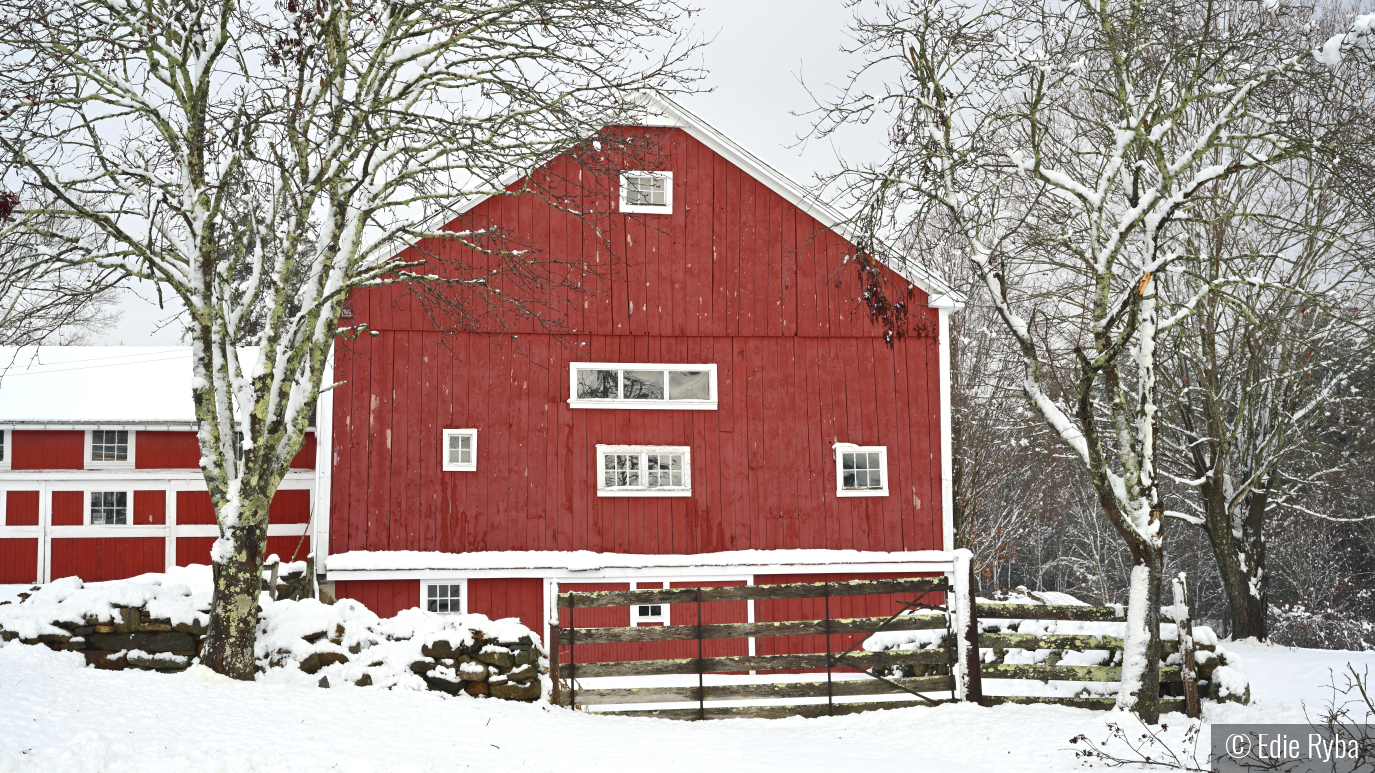 Quintessential New England by Edie Ryba