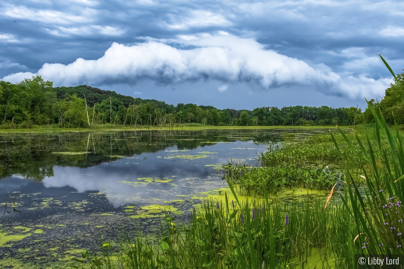 Rare Roll Cloud over the Water by Libby Lord