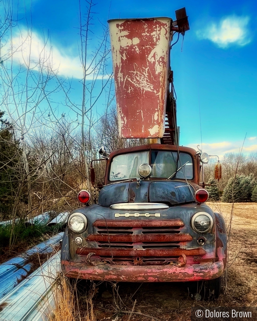 Retired From Service by Dolores Brown