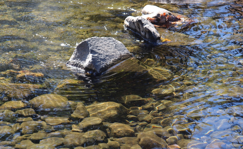 Ripples in Time by Harold Grimes