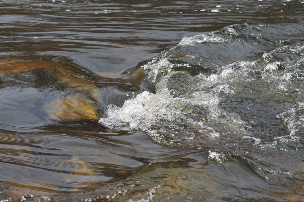 River in Motion by James Haney