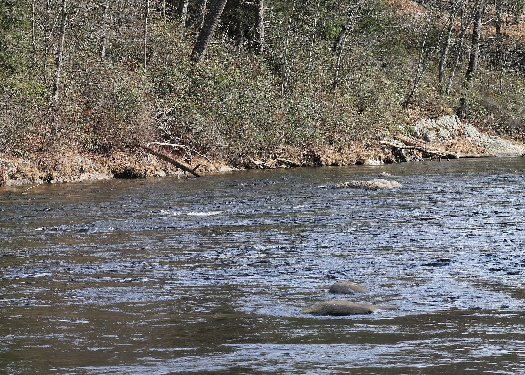 Rivers Edge by James Haney