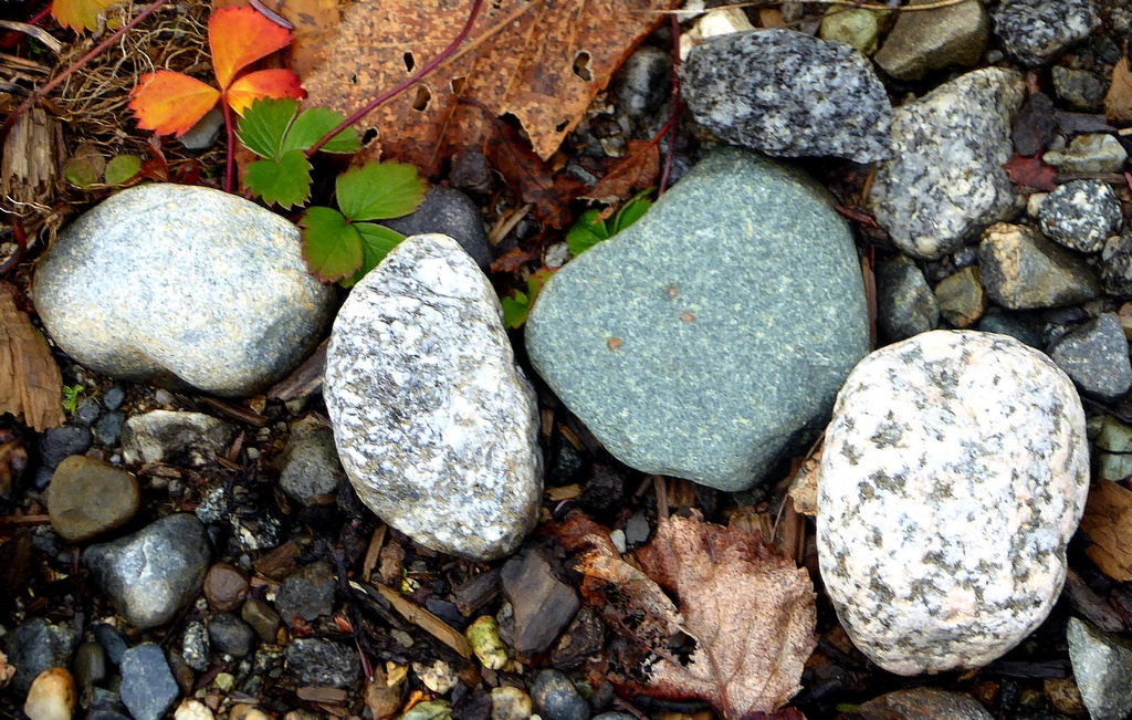 Roadside Rocks by George Zars