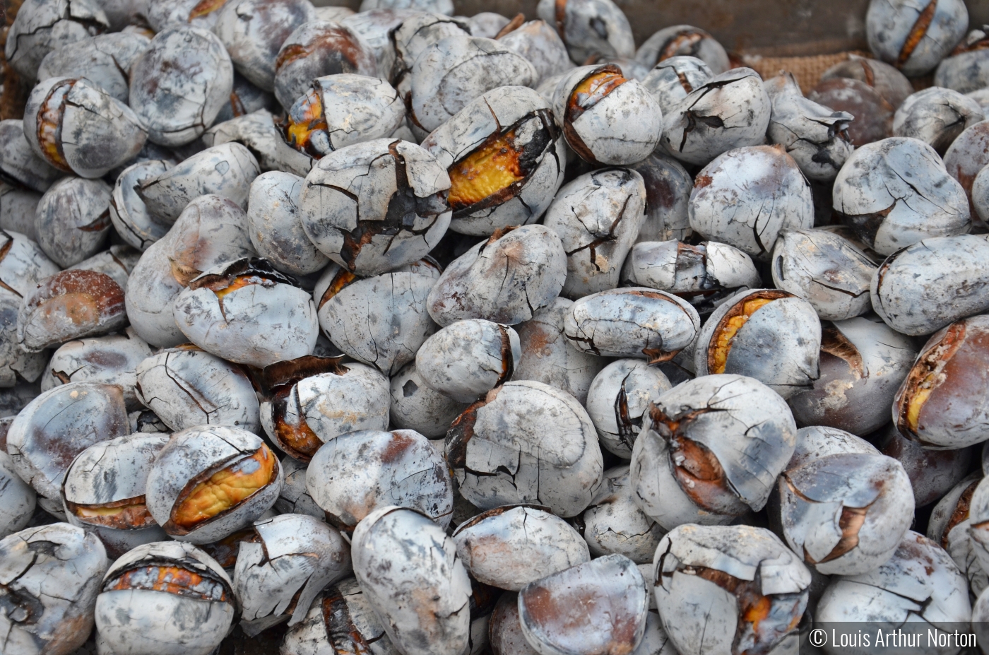 Roasted Chestnuts by Louis Arthur Norton