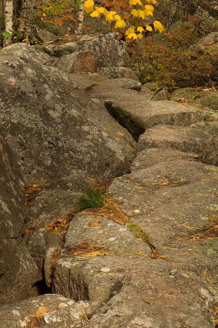 Rocky Path by Alene Galin