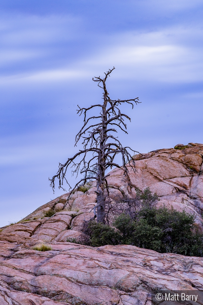 Rough Night In Prescott by Matt Barry