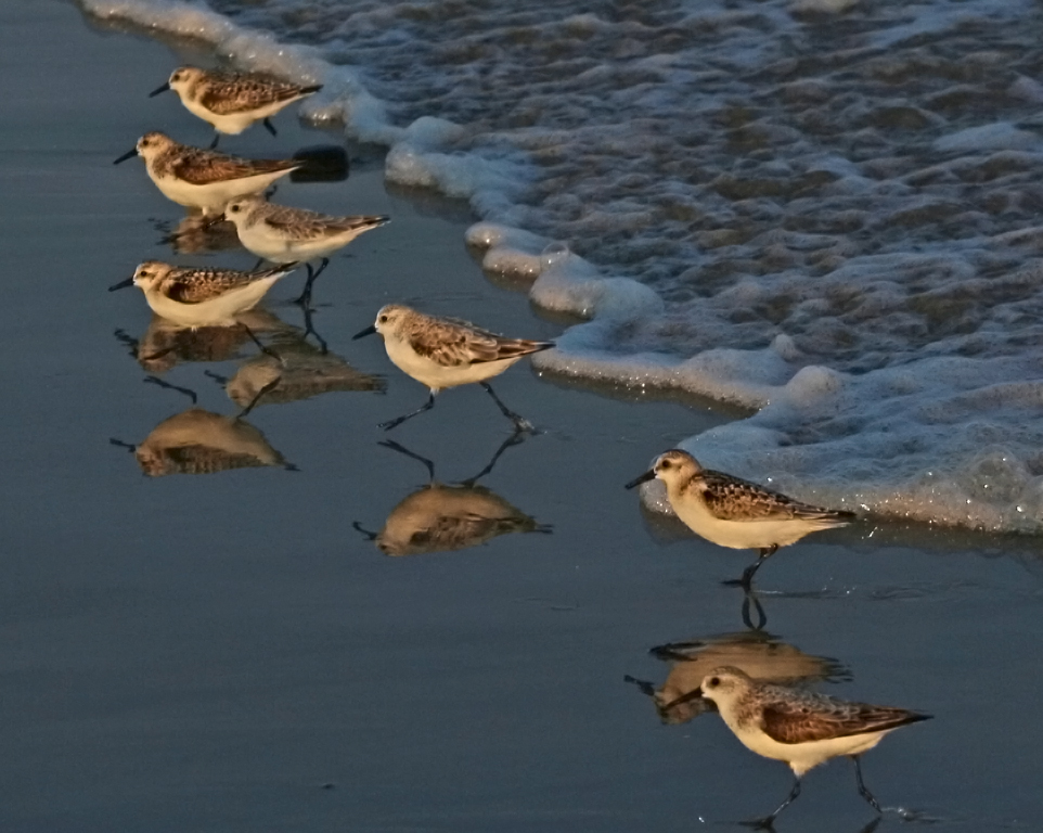 Running on the Beach by William Latournes