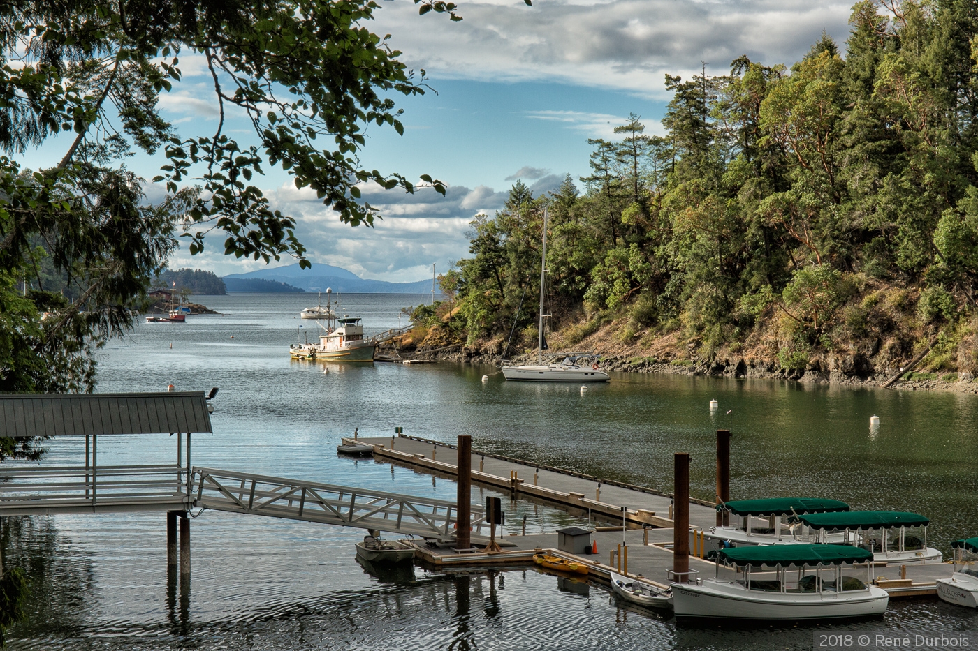 Saanich Inlet, BC Canada by René Durbois