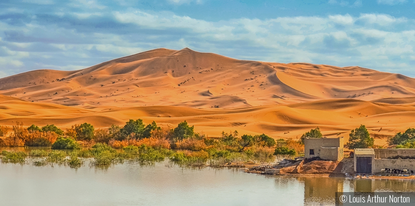 Sahara Oasis Panorama by Louis Arthur Norton