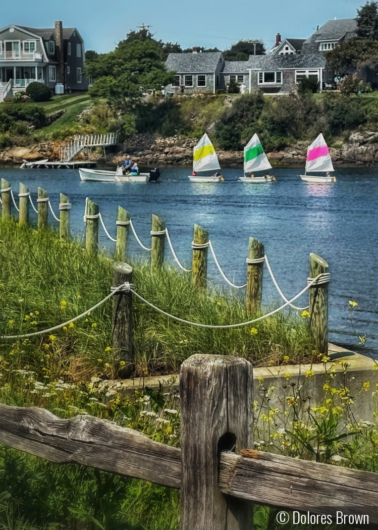 Sailboats in Maine by Dolores Brown