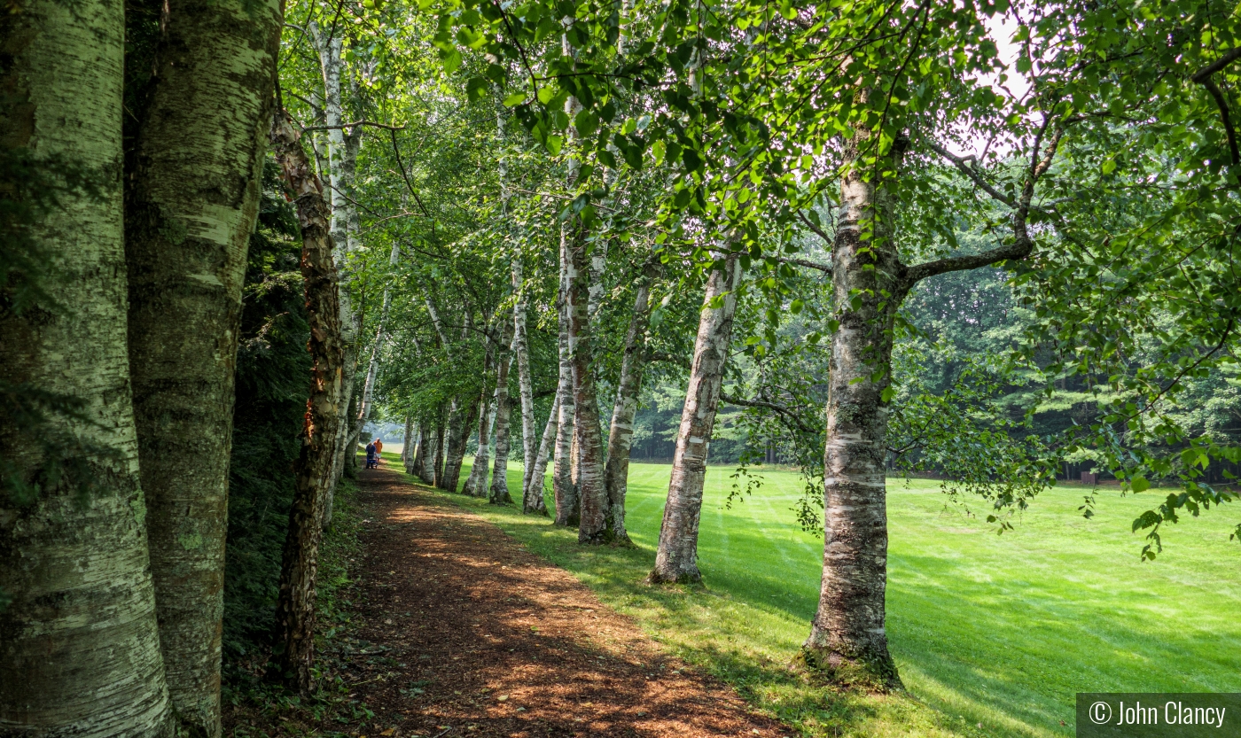 Saint-Gaudens Footpath by John Clancy