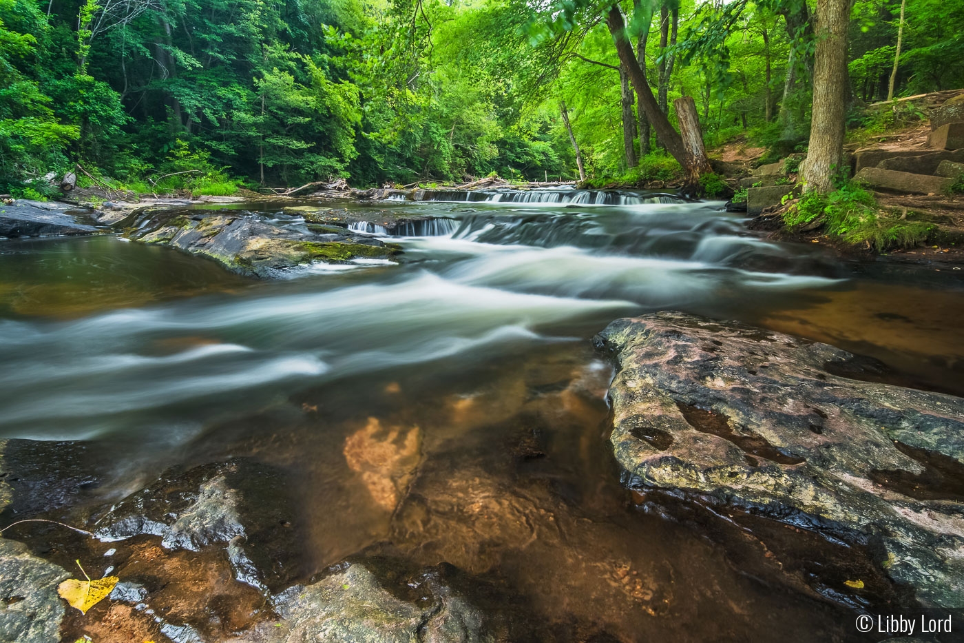 Scantic River Falls by Libby Lord