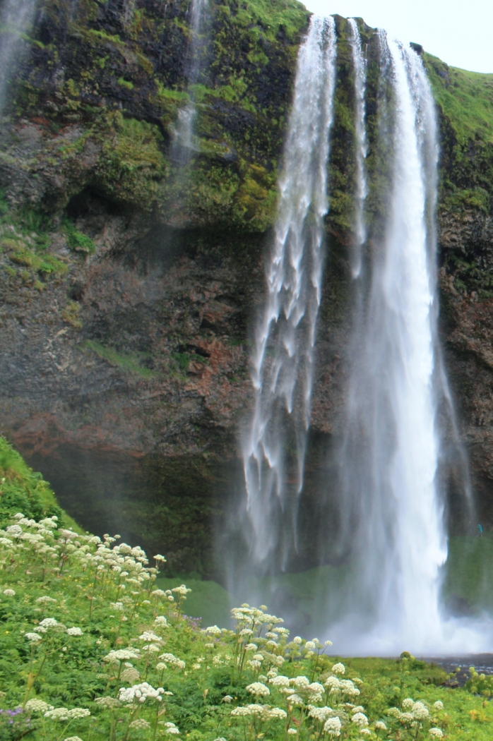 Seljalandsfoss Waterfall, Iceland by Pamela Carter