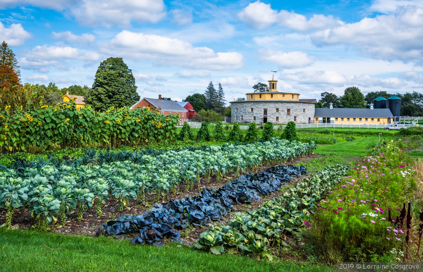 Shaker Village Summer Garden by Lorraine Cosgrove