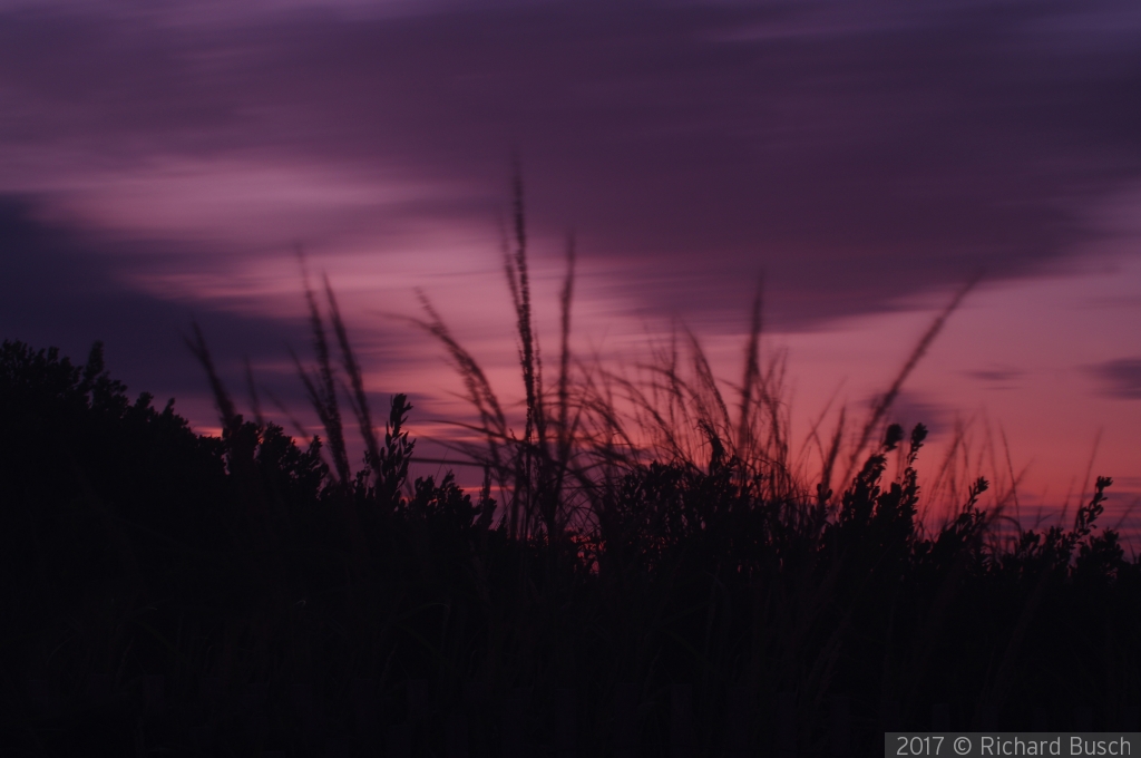 Slight Breeze by Richard Busch