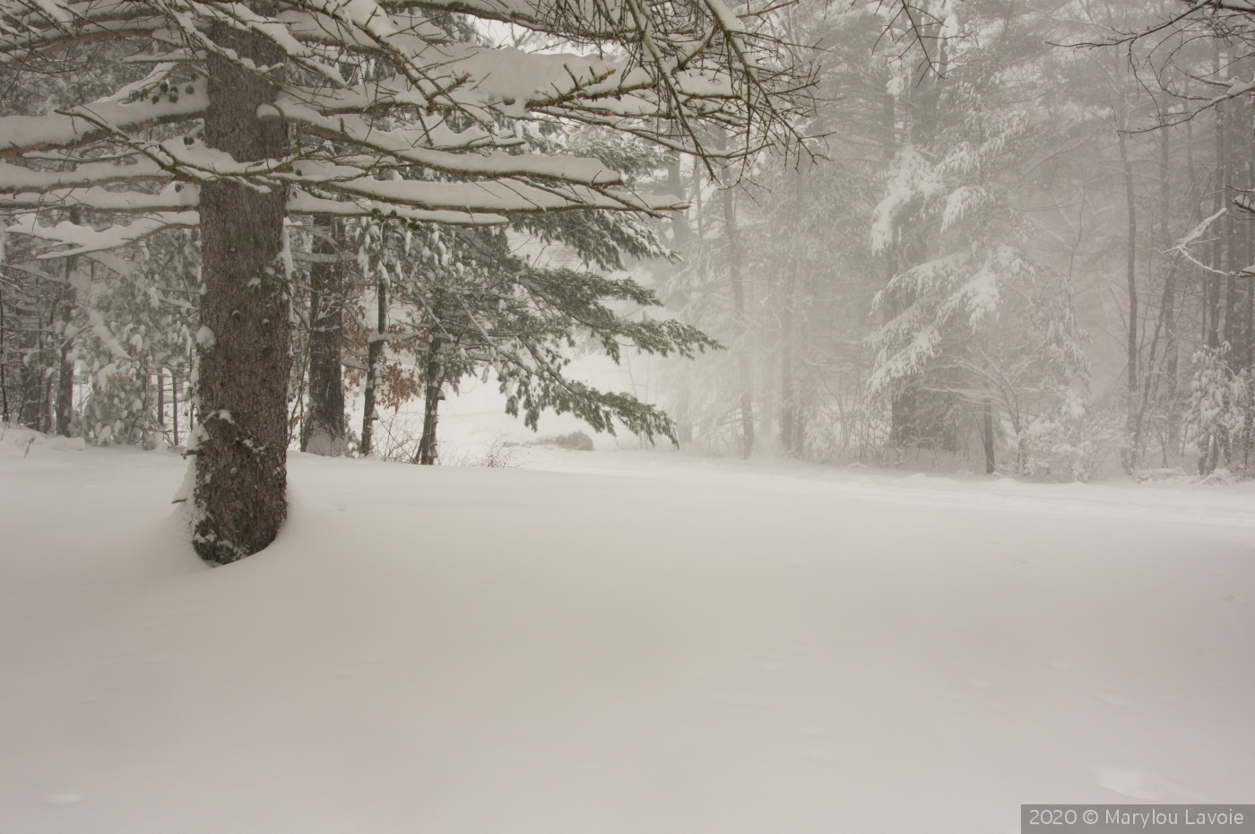 Snow Squall by Marylou Lavoie