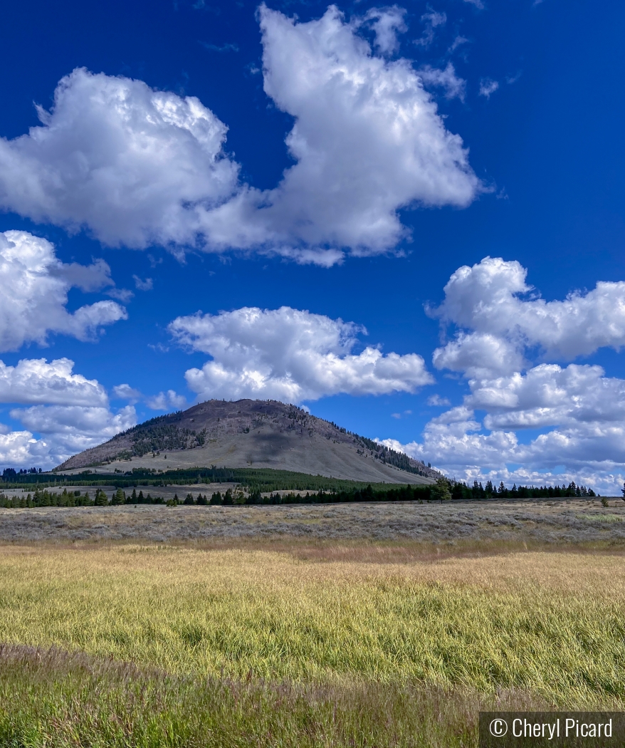 Somewhere in Idaho by Cheryl Picard