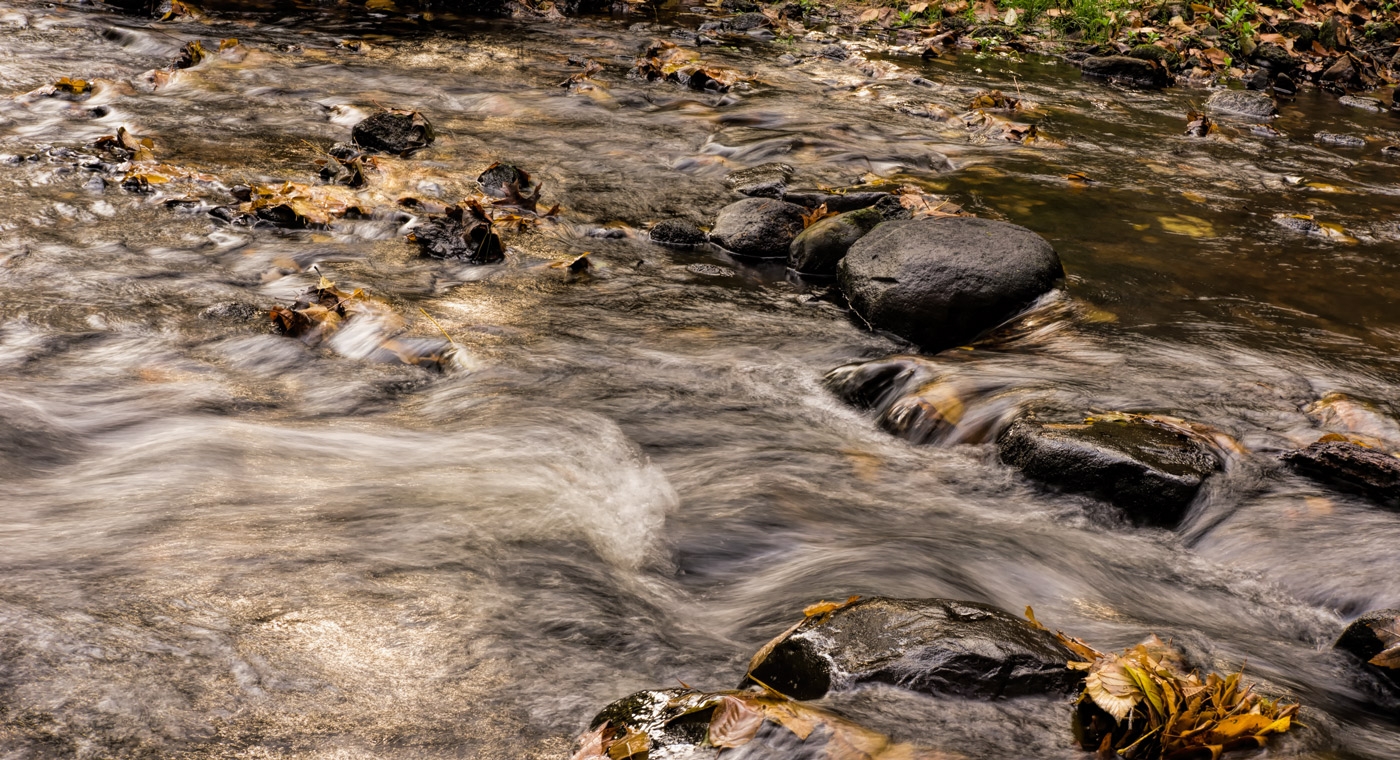 Splashing Brook by Alene Galin