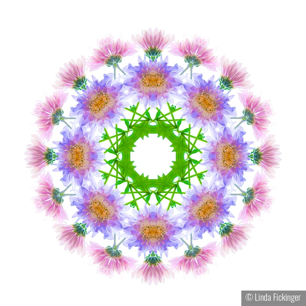 Spring Mandala by Linda Fickinger