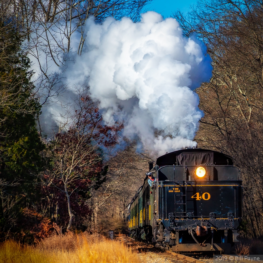 Steaming in Reverse by Bill Payne