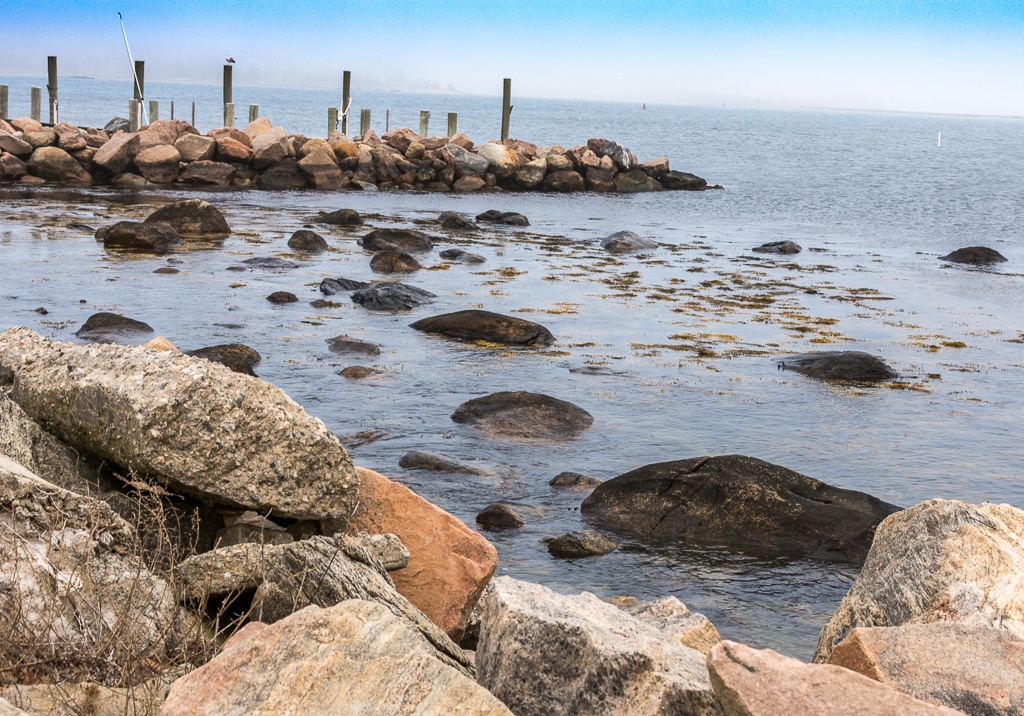 stonington harbor by Richard Provost