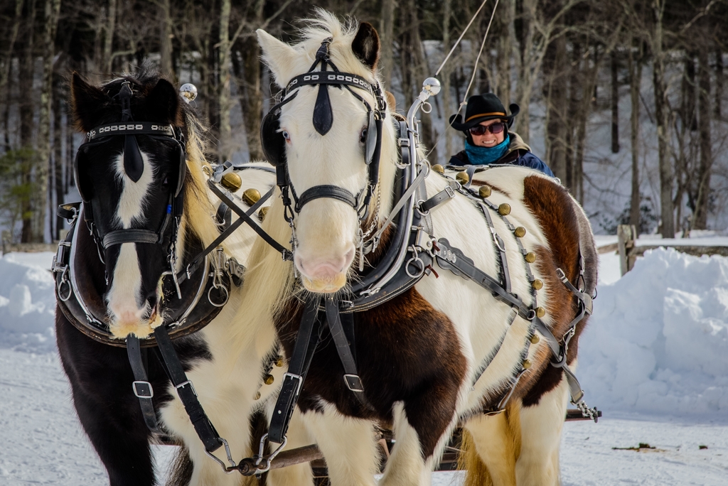 Sturbridge Village Sleigh Ride by Bill Payne