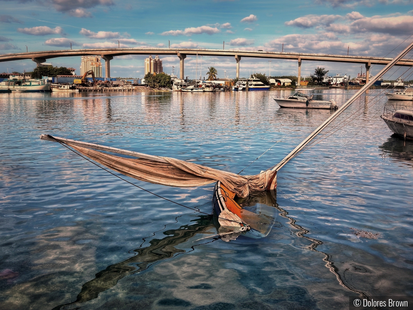 Sunk by Dolores Brown