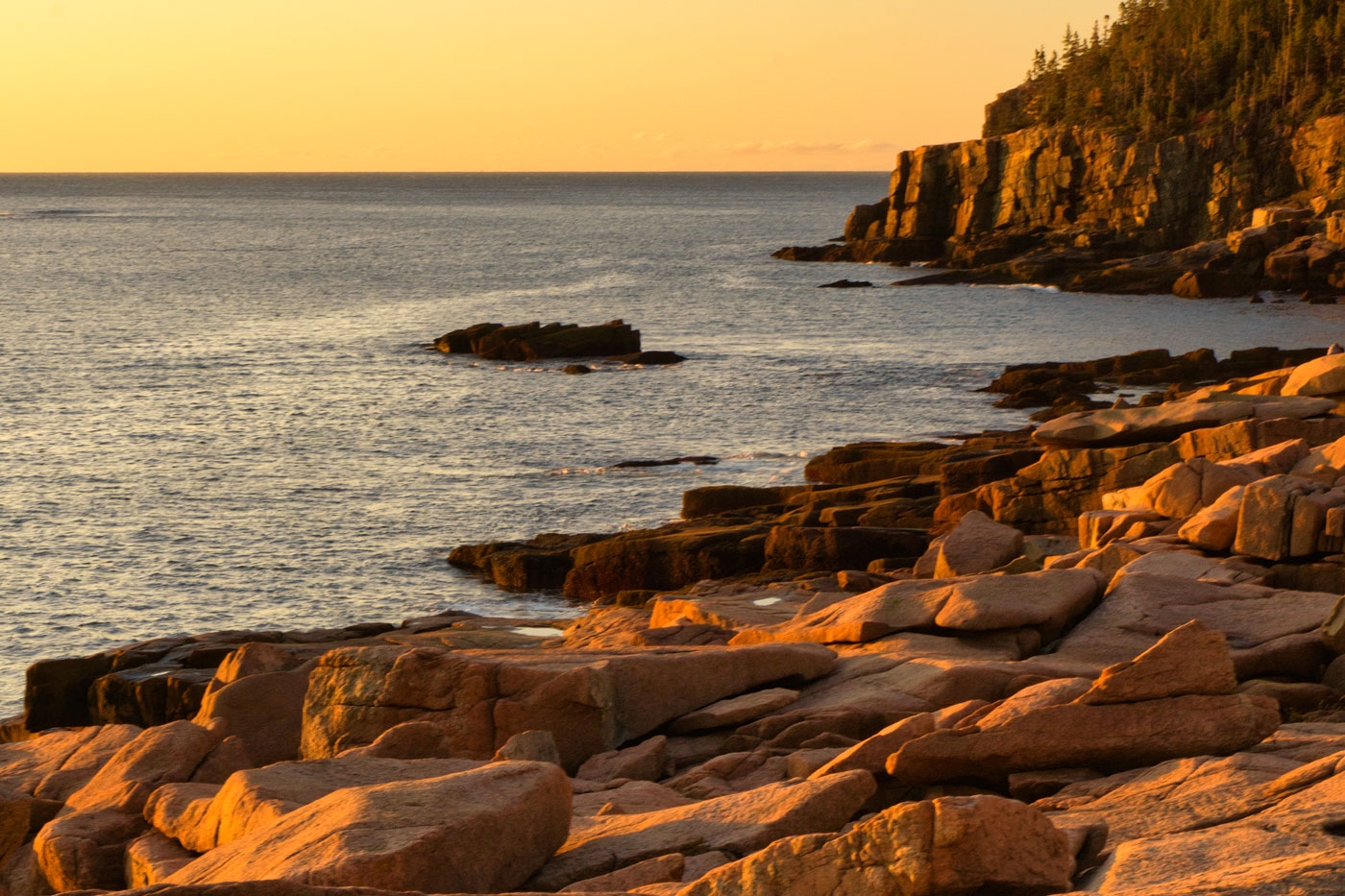 Sunrise at Bar Harbor by Alene Galin