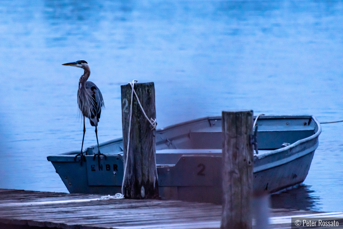 Sunrise Dock by Peter Rossato