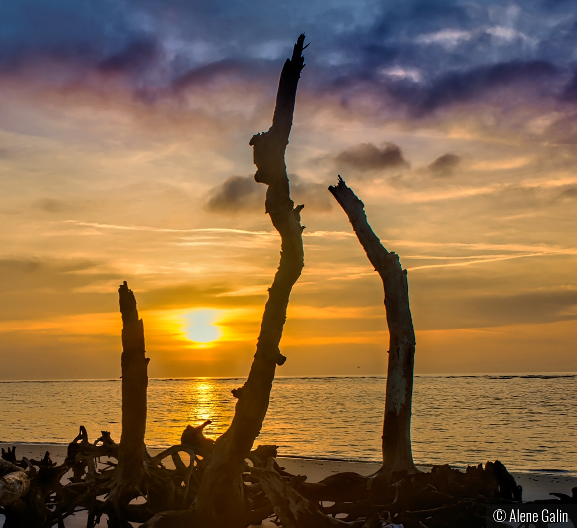 Sunrise Framed by Alene Galin