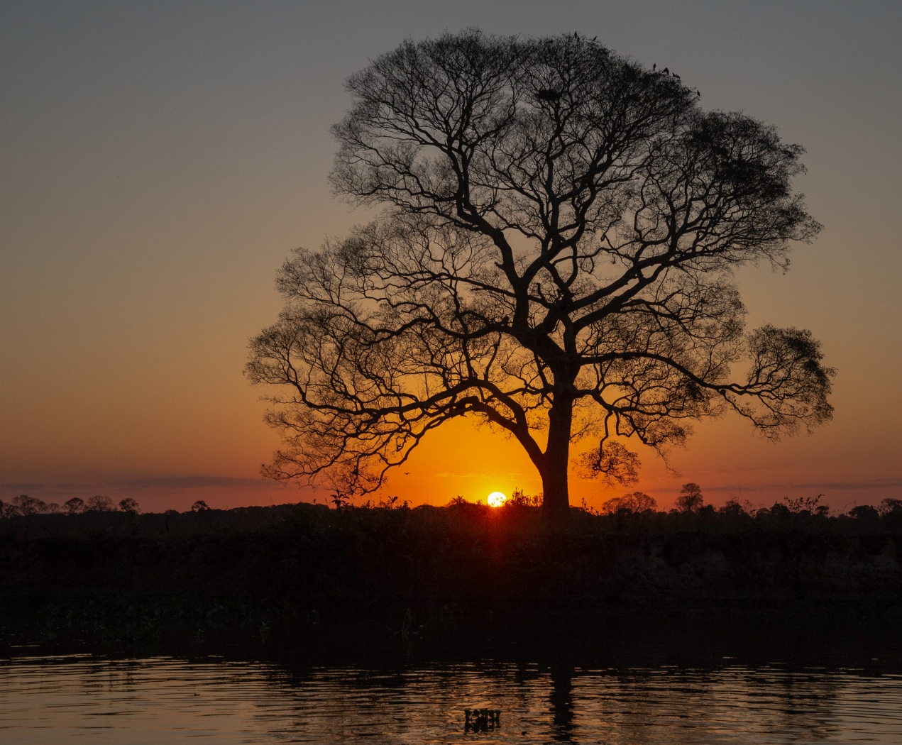 Sunset - Brazil by Susan Case