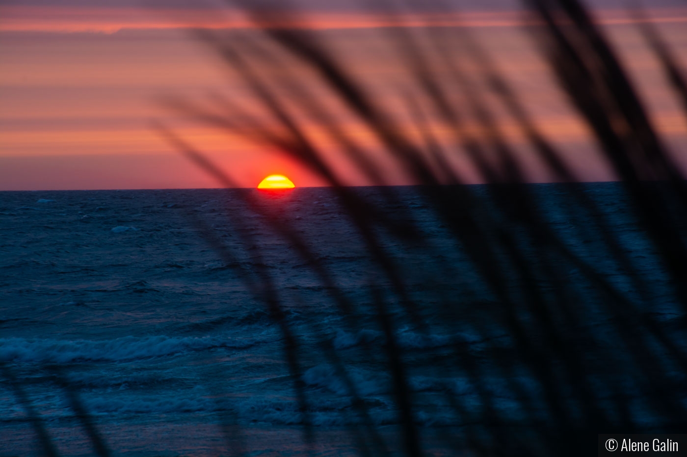 Sunset at Cape Cod by Alene Galin