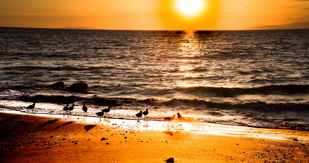 Sunset Gathering by Peter Rossato