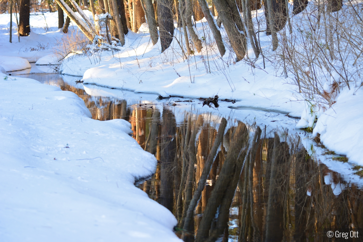 Sunset on a stream by Greg Ott