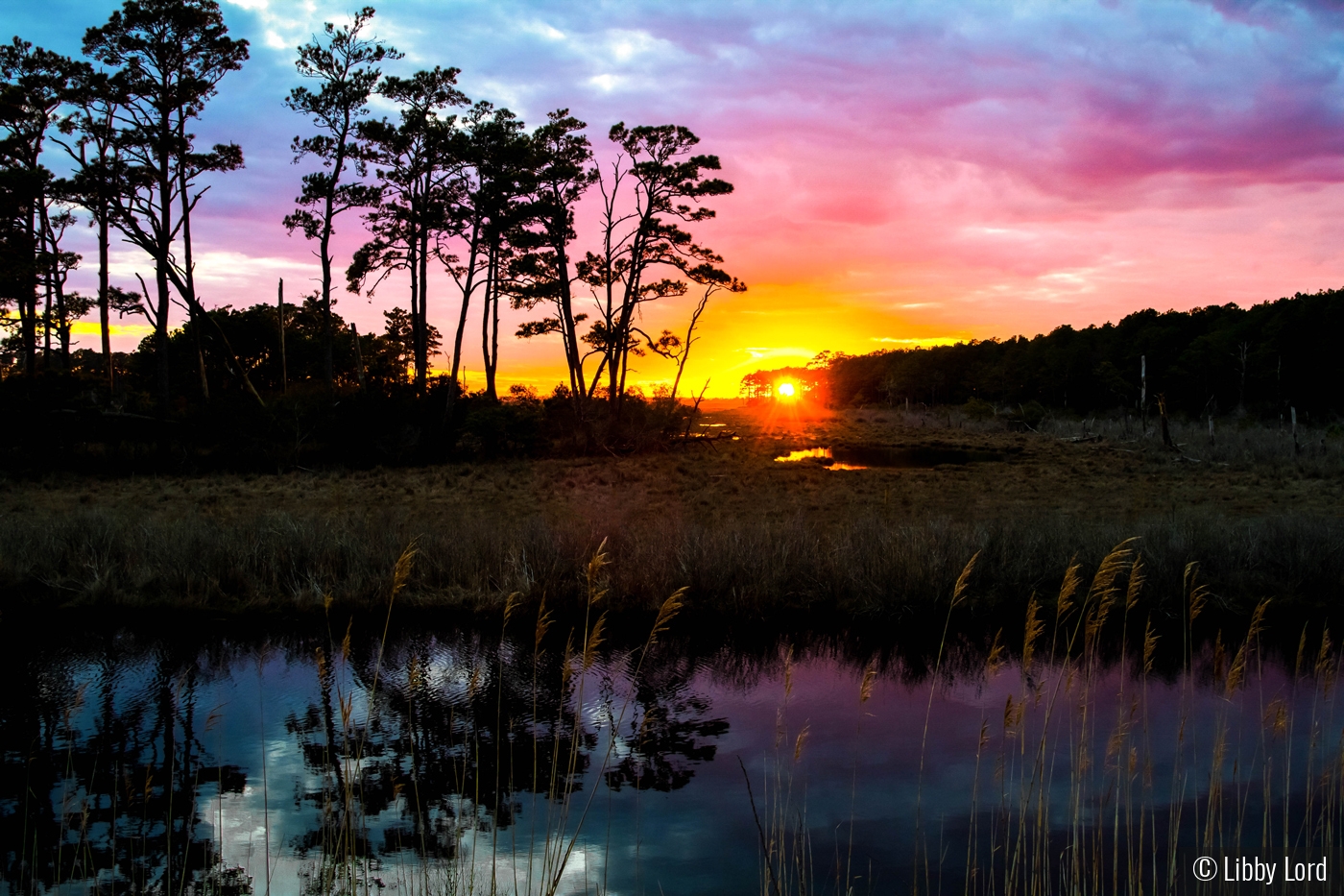 Sunset on Chincotegue Island by Libby Lord