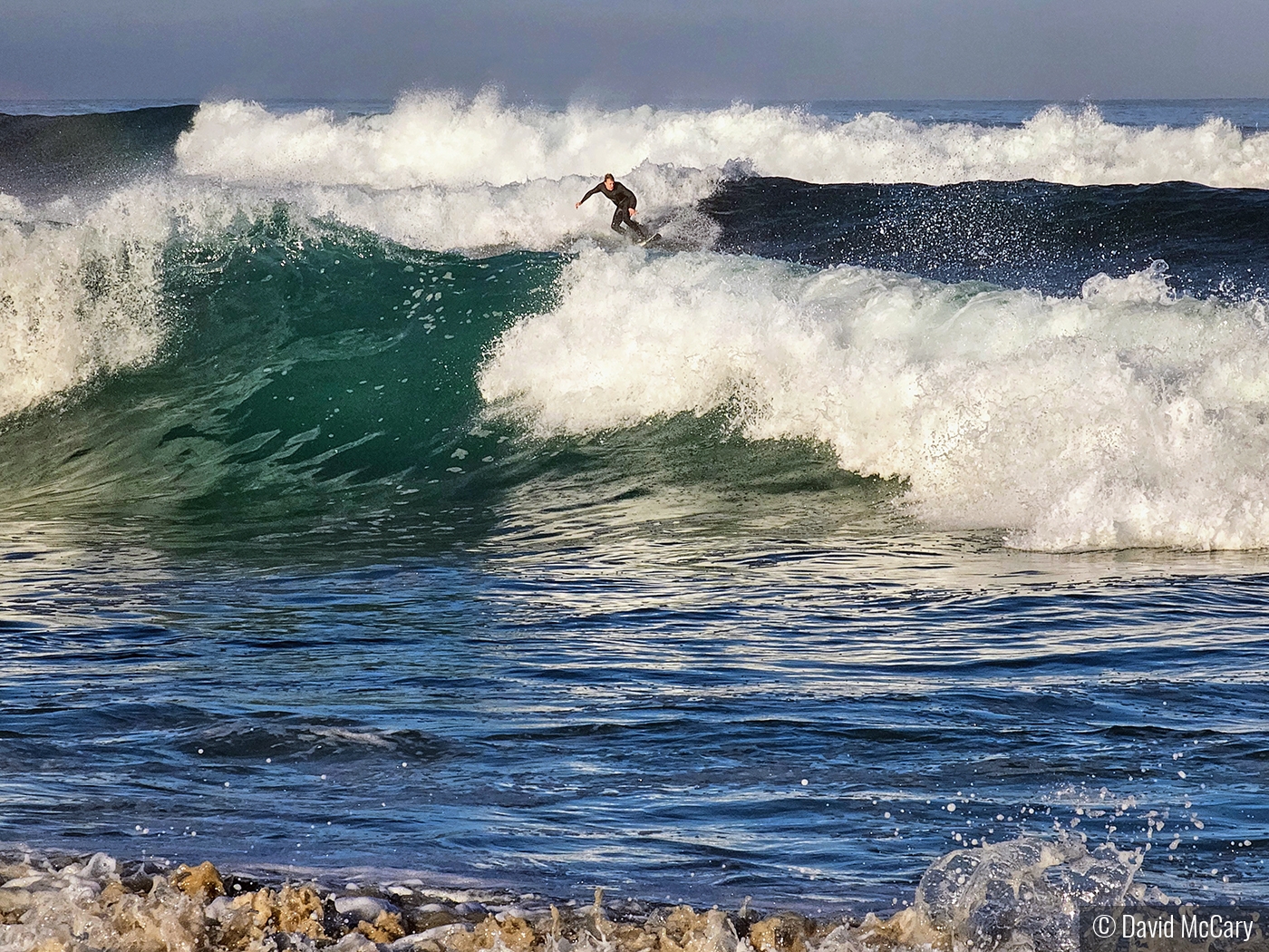 Surfer Sandwich by David McCary