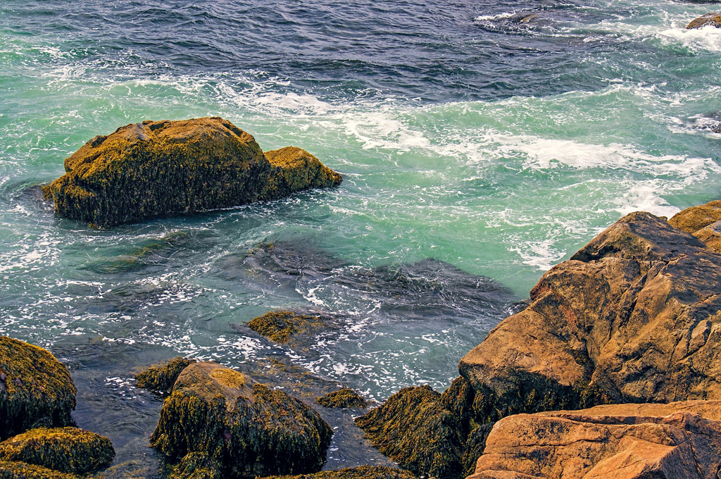 Surging Surf by Dolph Fusco