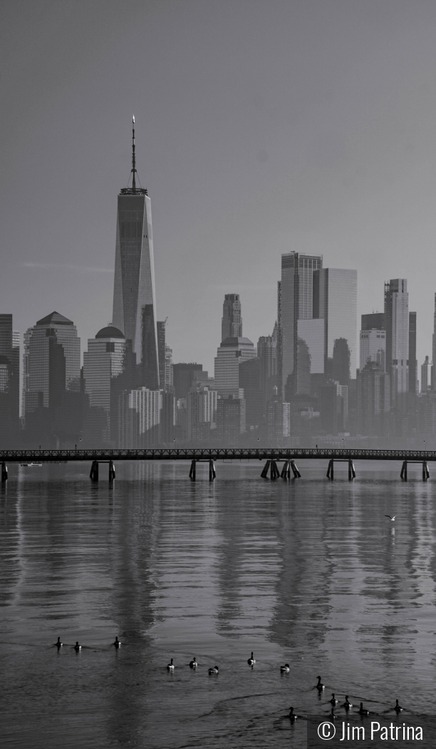 Swimming to the Promise Land by Jim Patrina