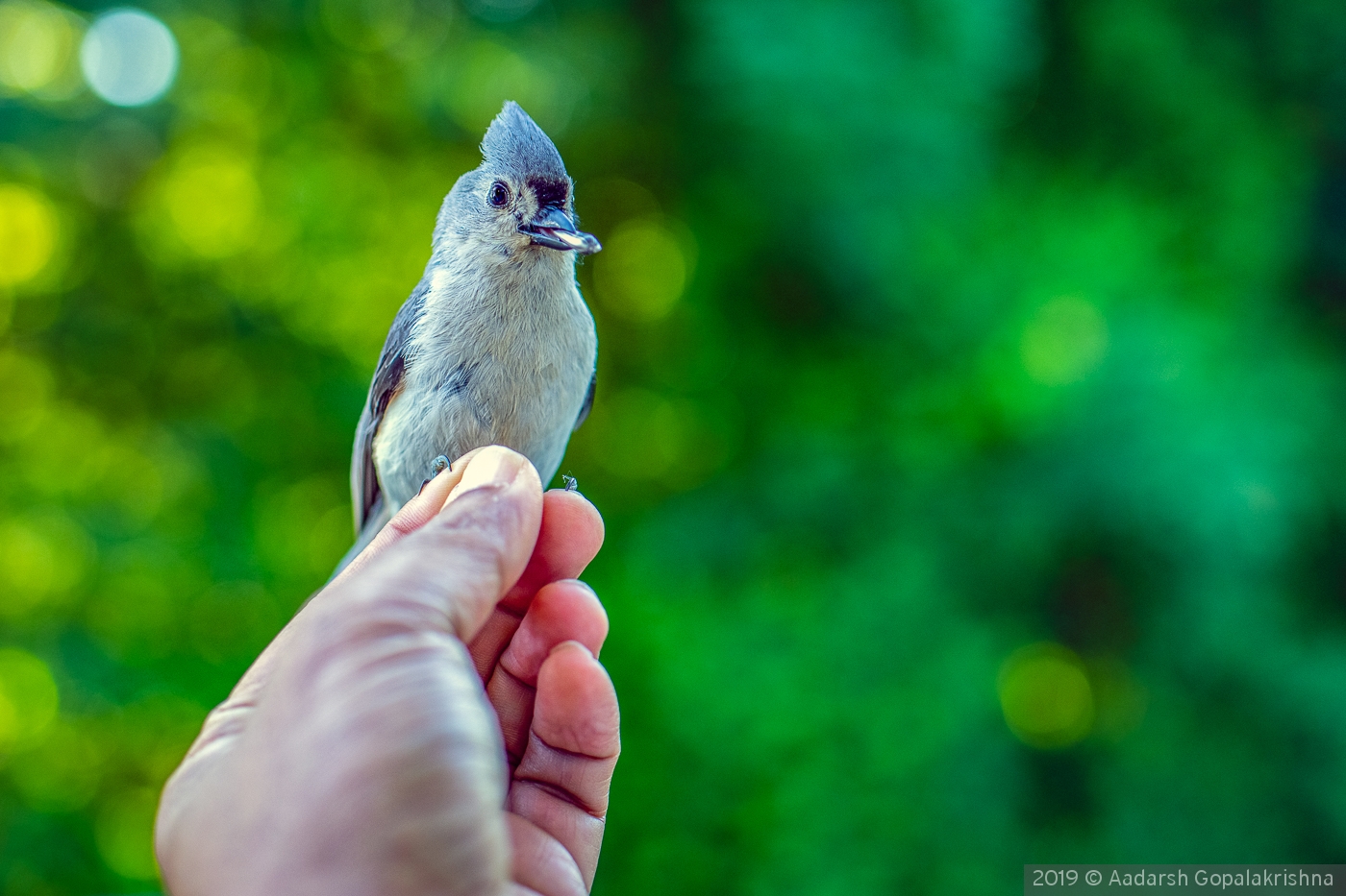 TRUST by Aadarsh Gopalakrishna