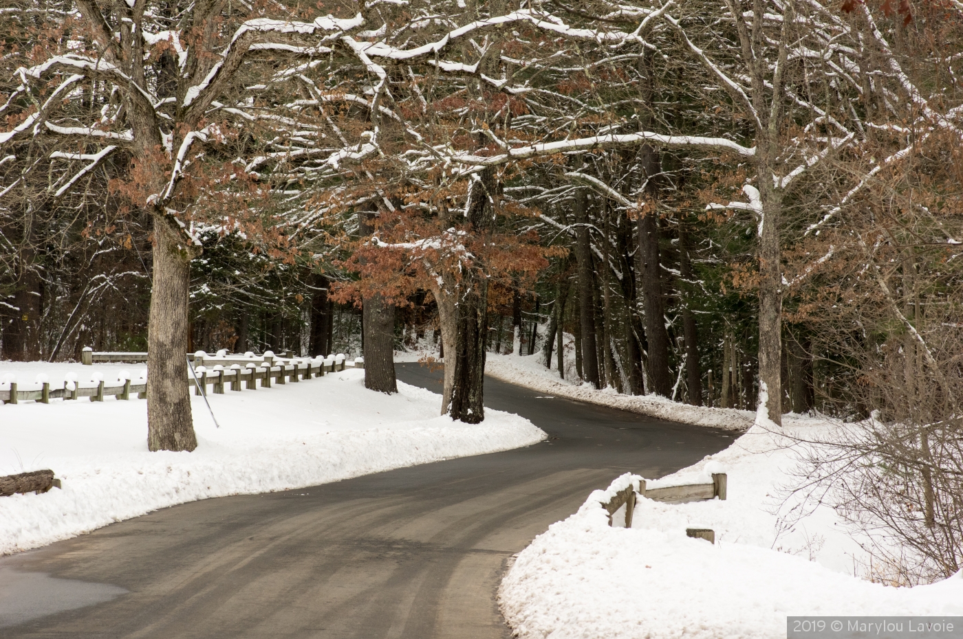 Take Me Home Country Road by Marylou Lavoie