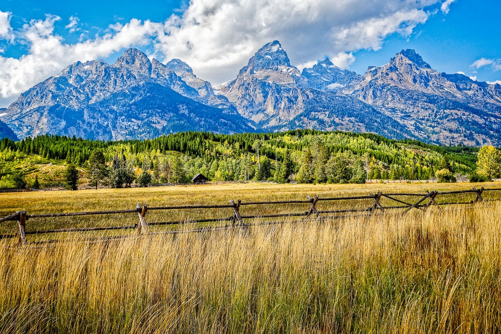 Teton Afternoon by John McGarry