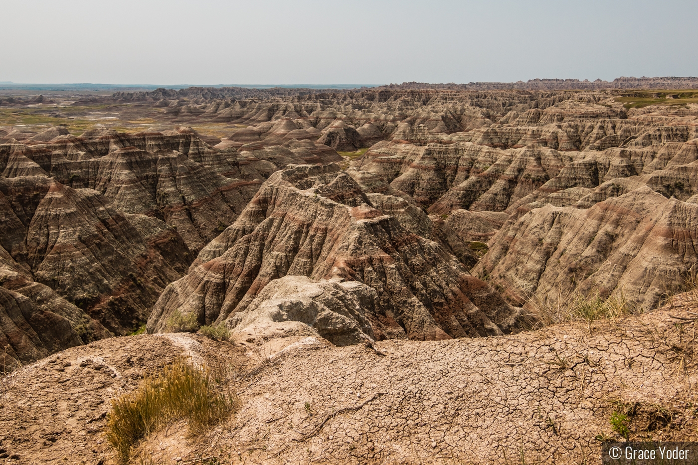 The Black Hills by Grace Yoder